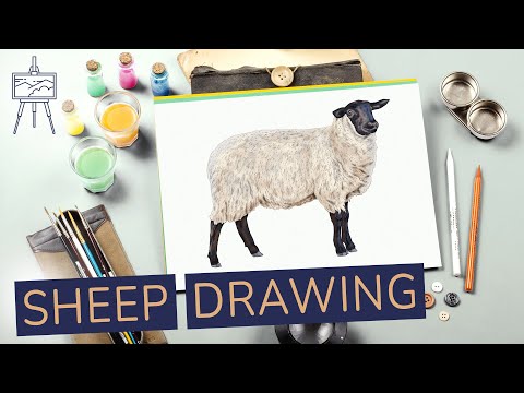As Meek As A Lamb: Drawings | Sheep drawing, Lamb drawing, Sheep tattoo
